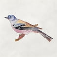 thumbnail image 3 of Wang, Melissa 15x15 Black Modern Framed Museum Art Print Titled - Bird Sketch II, 3 of 5