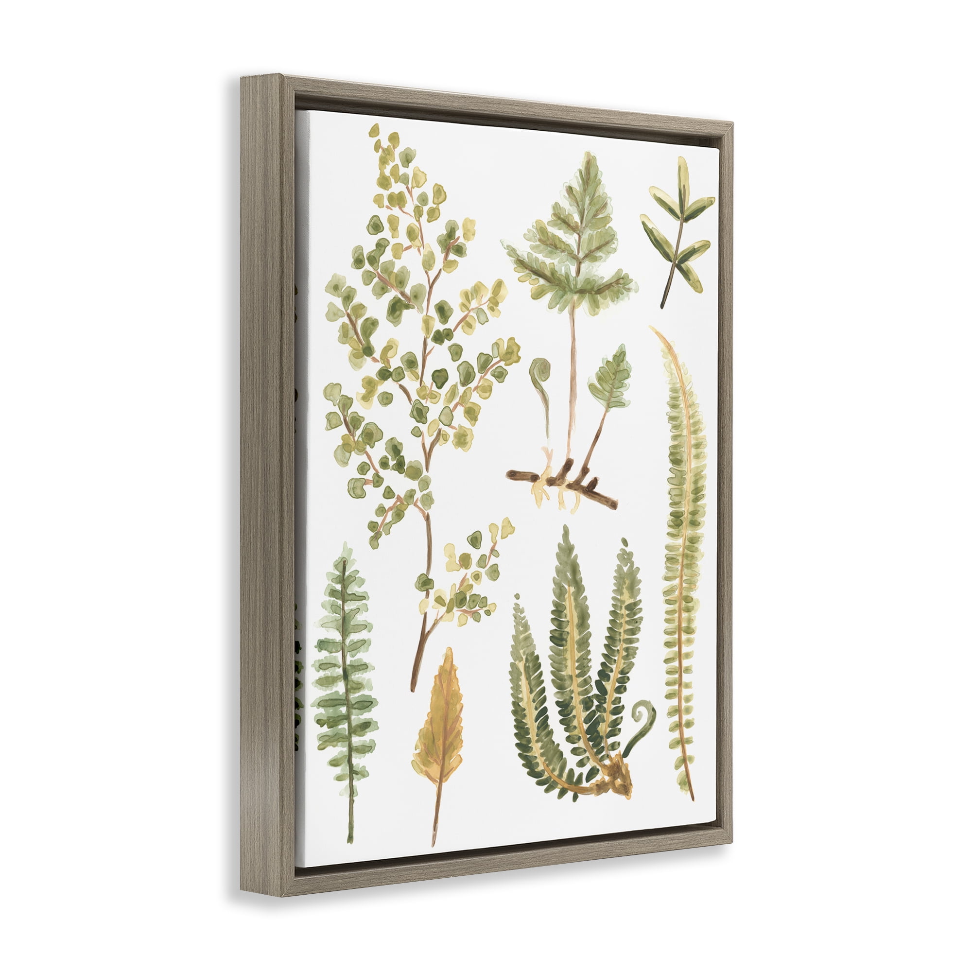 Stupell Industries Wild Forest Ferns Botanical & Floral Painting Brown Floater Framed Art Print Wall Art, 25 x 31