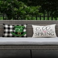 thumbnail image 4 of Buffalo Check ST Patricks Day Pillow Covers 12x20,Lumbar Black and White Pillows Decorative Throw Pillow Cases,Spring Lucky Shamrocks Pinch Me Decorations for Couch Sofa Outdoor Set of 1, 4 of 6