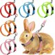 thumbnail image 1 of Adjustable Rabbit Harness Leash Bunny Harness Leash, Harness Leash For Pet Safety Walk Running Jogging, Pet Harness Leash For Bunny Cat Puppy Kitten F, 1 of 4