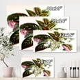 thumbnail image 4 of Designart ' Blossoming Vintage Flower V ' Traditional Canvas Wall Art Print, 4 of 4