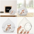thumbnail image 3 of Jaula para hámster, transparente, para animales pequeños, con contenedor y accesorio, 3 of 6