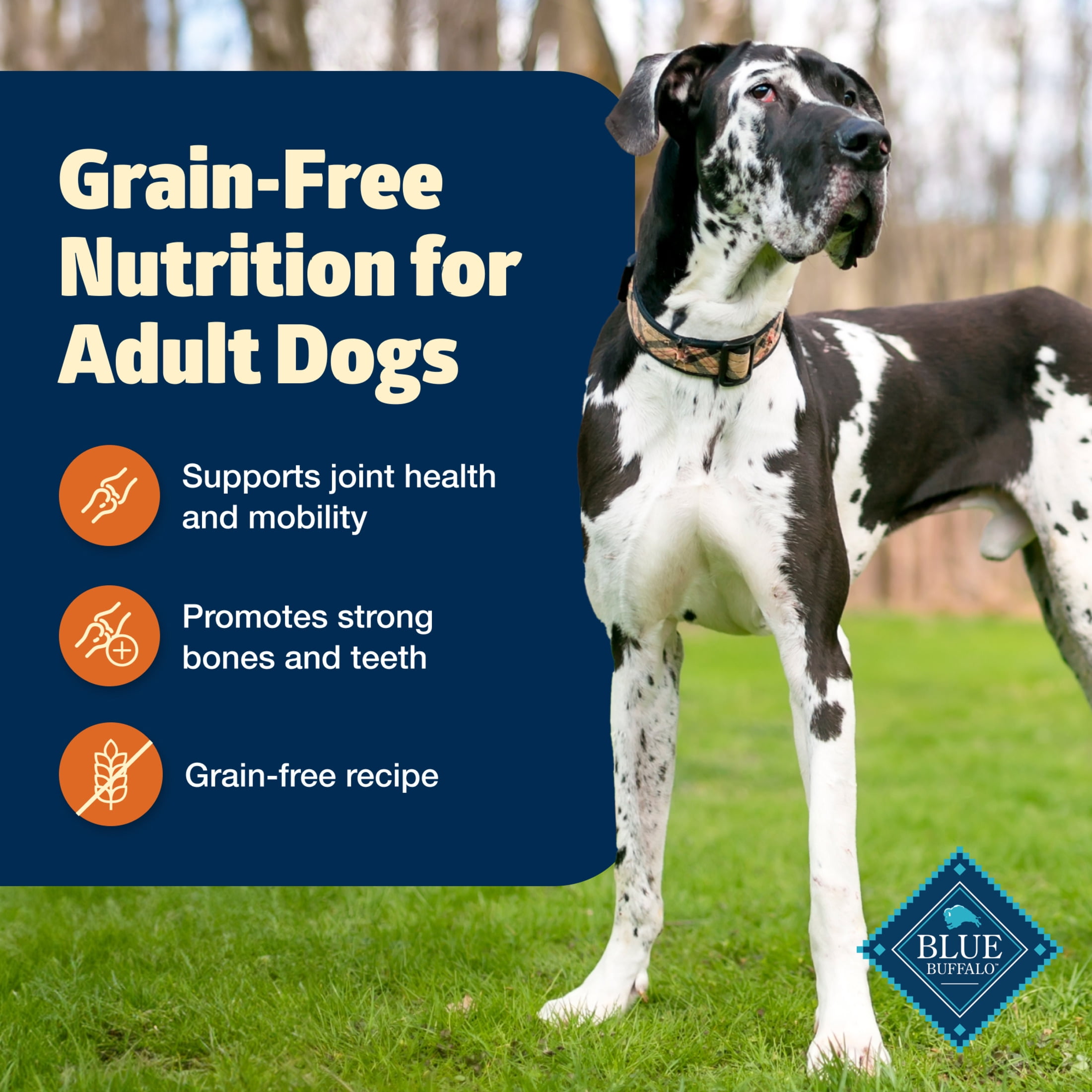 Blue Buffalo Freedom Grain-Free Large Breed Adult Dry Dog Food, Chicken & Potatoes 24 lbs.