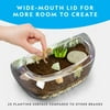 NATIONAL GEOGRAPHIC Light Up Dinosaur Terrarium Kit for Kids with Real Plants, Fossils & More, for Unisex Children (Age Group: 6 to 12 years)