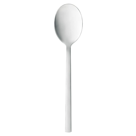 World Tableware 963 002 Elexa 8-1/8 Dinner Spoon - Dozen"