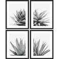 thumbnail image 3 of PixonSign Framed Wall Art, Black White Snake Plant Agave Cactus Succulent Posters, Set of 4 Floral Botanical Wall Decor Modern Bedroom Prints, Nature Wilderness Wall Décor for Home - 12"x16" Black, 3 of 5