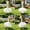 White 4, variant on AuroraX 23 inch Porch Goose Outfit Sets Porch Goose Clothes Set 23" 17 19 inch Birthday Princess Tutu Skirts Front Porch Goose Clothes Lawn Garden Decor