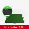 thumbnail image 1 of Golf Practice Grass Mat 1*1m thickness 2cm Outdoor Indoor Training Hitting Pad Backyard Golf Mat With Tee Aids Accessory 1X1M-thick 2cm, 1 of 5