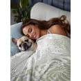 thumbnail image 3 of Sage Green White Full Size Flat Sheet, Wrinkleproof & Fadeproof Cooling Flat Bed Sheet Only, Abstract Grey Chrysanthemum Flower Breathable Soft Bedding Top Sheets 81 x 96 Inches, 3 of 8