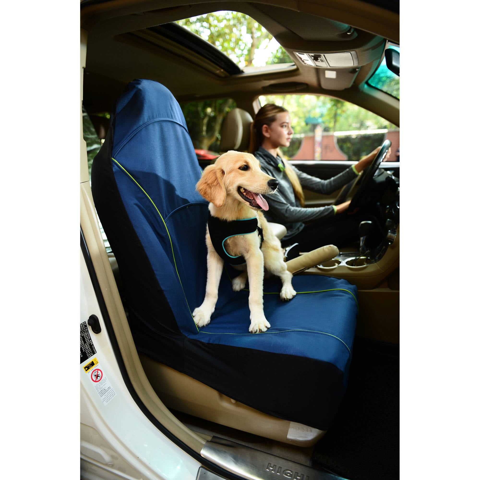 car seat covers for dogs walmart