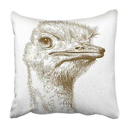 Antique Ostrich - CMFUN Emu Antique Engraving of Ostrich Head White Farm Sketch Africa Ancient Animal Pillowcase Cushion Cover 20x20 inch