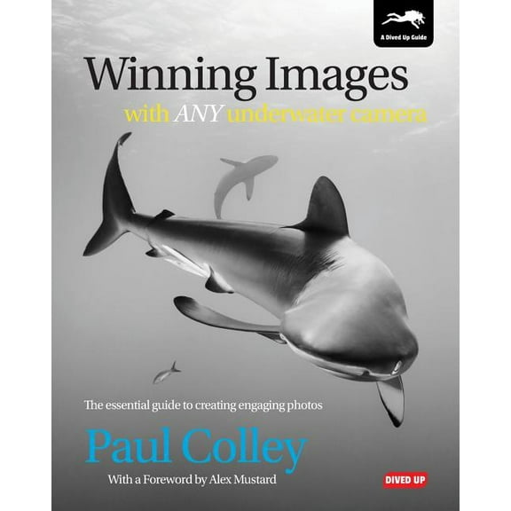 Winning Images with Any Underwater Camera: The essential guide to creating engaging photos (Paperback)
