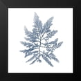 thumbnail image 2 of Vision Studio 12x12 Black Modern Framed Museum Art Print Titled - Navy Seaweed II, 2 of 5