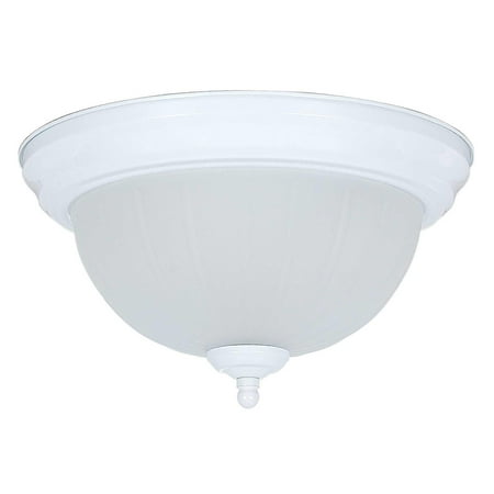 

Sunset Lighting F7100 2 Light 120 Watt 12 Wide Flush Mount Ceiling Fixture