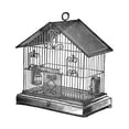 thumbnail image 3 of Catalog Illustration 12x12 Black Modern Framed Museum Art Print Titled - Etchings: Birdcage - Peaked top, twisted wire detail., 3 of 5