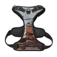 thumbnail image 5 of Gaeub Oil Lamp Coffee Beans Gaeub Oil Lamp Coffee Beans No Pull Dog Harness, Secure and Adjustable Pet Vest for Outdoor Activities - X-Large, 5 of 9