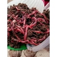 Nature's Dream Ranch 50 Count Red Wiggler Worms Garden