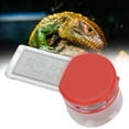 thumbnail image 4 of Digital Display Thermometer, Convenient Thermometer, Humidity for Reptile Thermometer Black,Red, 4 of 7