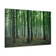 thumbnail image 5 of Misty Green Pine Tree Forest Nature Wilderness Photography Canvas Wall Art for Home Decor Ready-to-Hang, 5 of 18