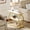 White Gold, variant on Tribesigns Narrow End Table with 3 Storage Shelves, Small Side Table for Living Room, Small Spaces, Rustic Brown