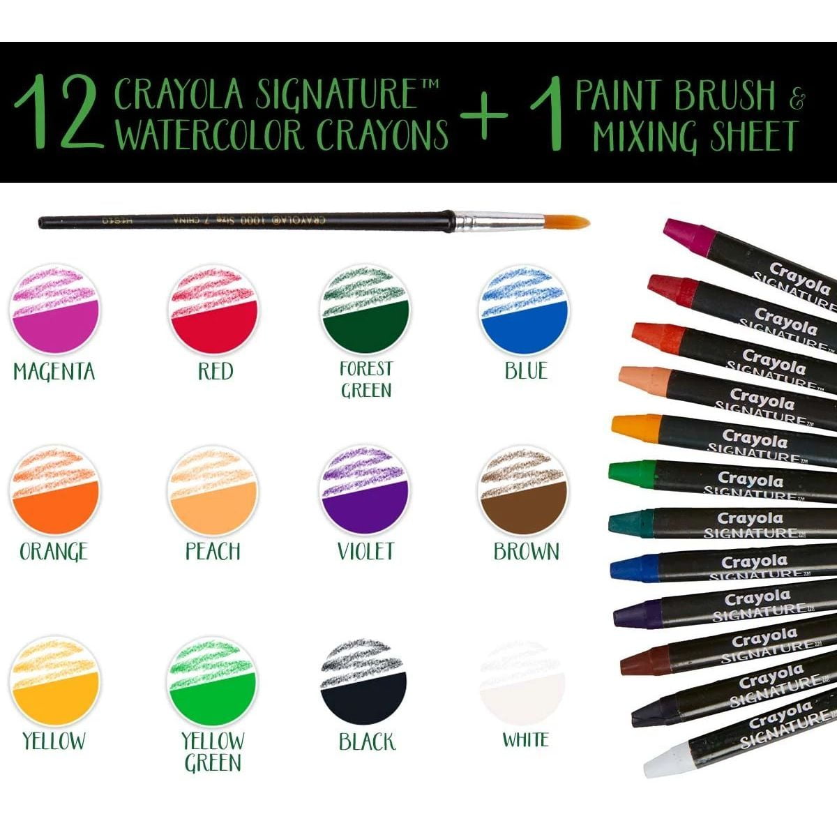 Crayola Signature Watercolor Crayon Sticks Paint Set, 12 Ct, Adult & Teen Stocking Stuffers, Holiday Arts and Crafts