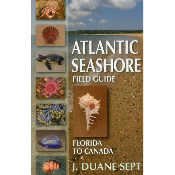Atlantic Seashore Field Guide: Florida to Canada, (Paperback)