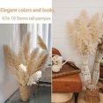 thumbnail image 2 of Tallos de Decoración de Hierba de la Pampa, Hierba de la Pampa Grande Floral Seca Natural para Bodas, Fiestas, Casas de Campo, Decoración del Hogar Boho, 2 of 4