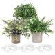 thumbnail image 1 of 1 juego de plantas artificiales en maceta para escritorio, adorno de bonsái., 1 of 4