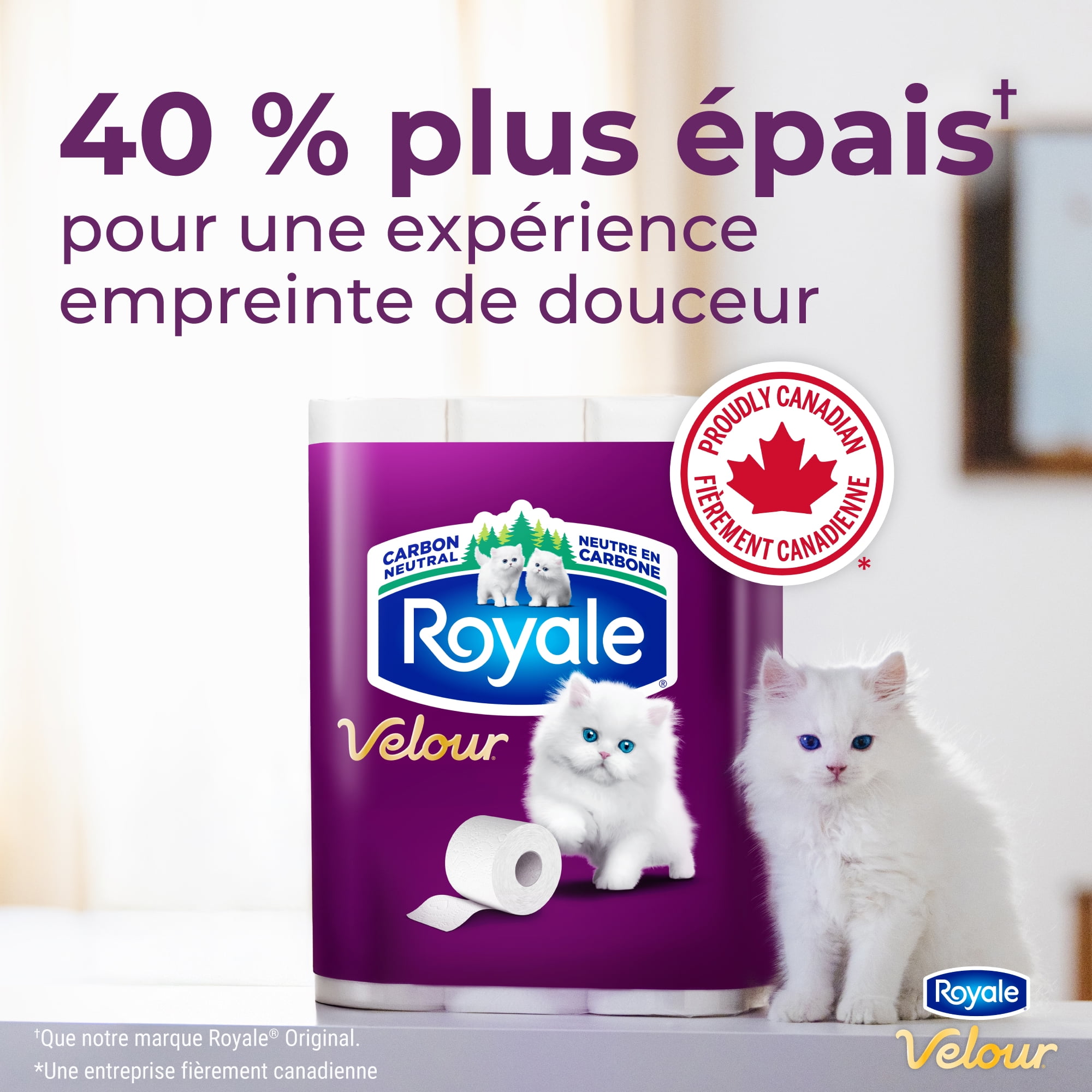 Royale Velour, 2 Ply Toilet Paper, 30 Equal 80 Bathroom Tissue Rolls, 190 Toilet Paper Sheets per Roll