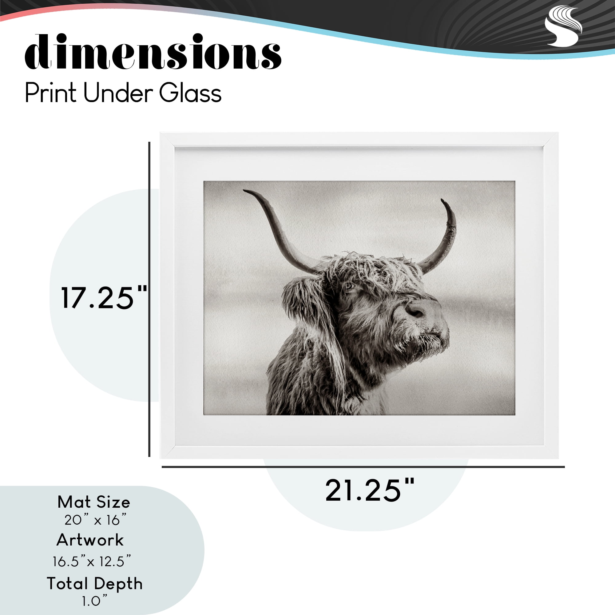Stupell Industries Horned Highland Cow Gazing White Framed Print Under Glass, design by Julia Frost