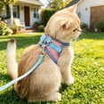 thumbnail image 6 of Breathable Mesh Pet Harness and Leash Set, Adjustable Color Block Vest for Small Medium Cats and Dogs(2#Blue-A), 6 of 6