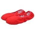 thumbnail image 4 of TEHAUX Women's Ballet Shoes Lightweight Canvas for Dance Practice and Performance, 4 of 8