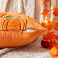 thumbnail image 5 of Fall&nbsp;Pumpkin Orange Throw Pillow Covers 18x18 Inch,&nbsp;Pack of 2 Decorative Autumn Pillows Cases for&nbsp;Halloween Holiday Decor Couch Sofa&nbsp;Living Room Decorations, 5 of 6