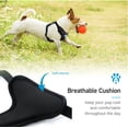 thumbnail image 6 of AnyPet Dog Harness, Extra Small No Pull Harness for Small Dogs, 6 of 7