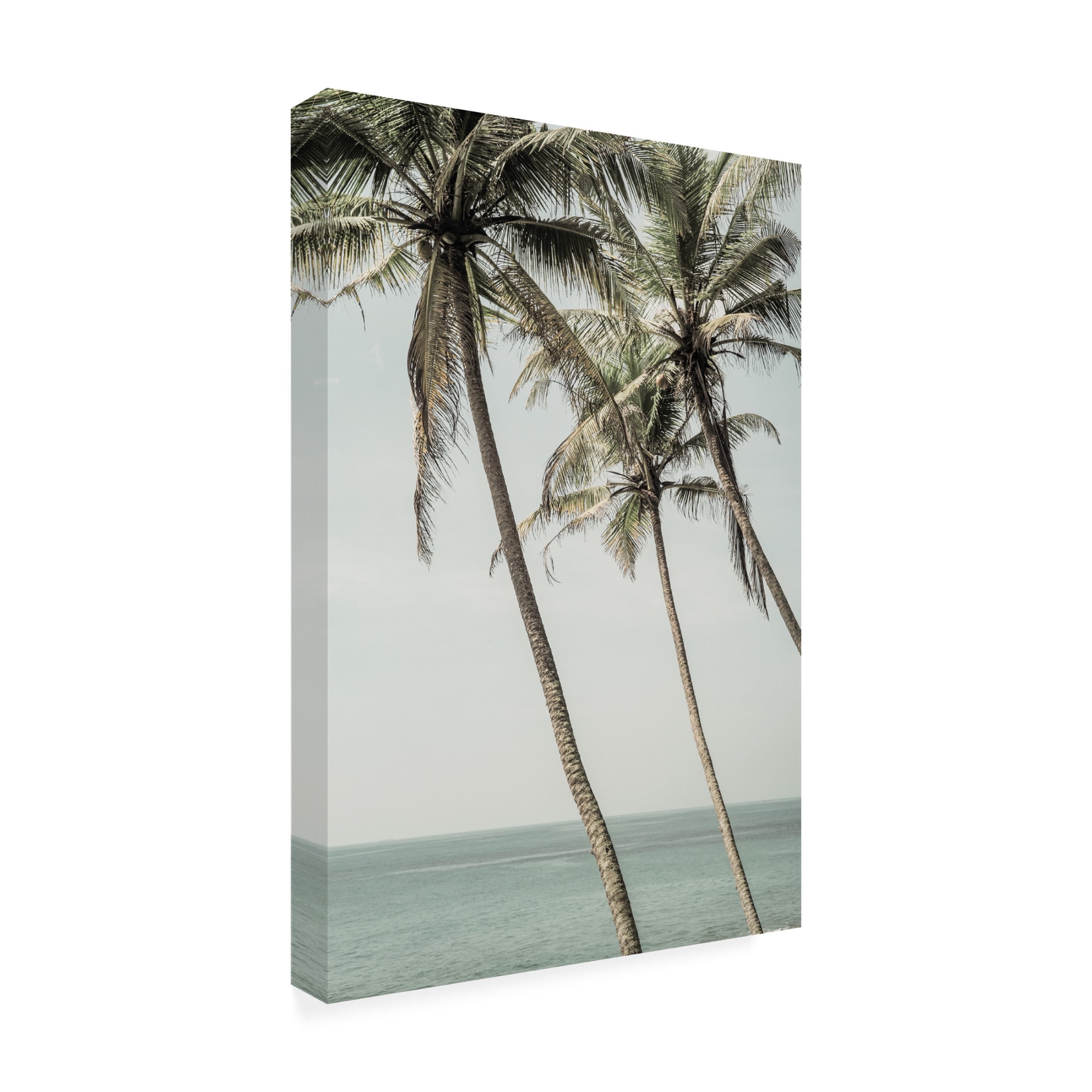 Trademark Fine Art Shot by Clint Sun Kissed Canvas Wall Art