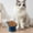 25#Blue, variant on Cat Food Bowl, Raised Anti-Vomit Pet Feeding Bowl with Wide Shallow Design to Protect Whiskers and Neck, Non-Slip Large Capacity Cat Water Bowl for Easy Eating and Daily Feeding at Home