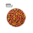 thumbnail image 3 of Alimento Para Perro Beneful Cachorros Crecimiento Vibrante Pollo 10 kg, 3 of 3