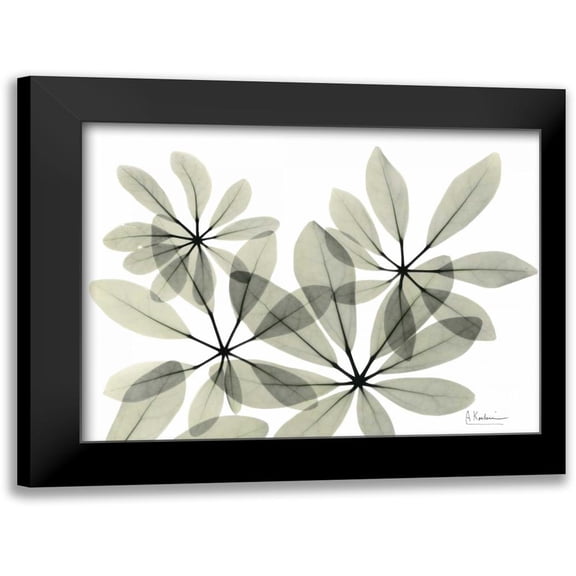 Koetsier, Albert 14x12 Black Modern Framed Museum Art Print Titled - Scheffleur in Green