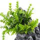 thumbnail image 3 of BESTYASH Piedra Decorativa Para Acuario Con De Natural Para Ornamentación, 3 of 6