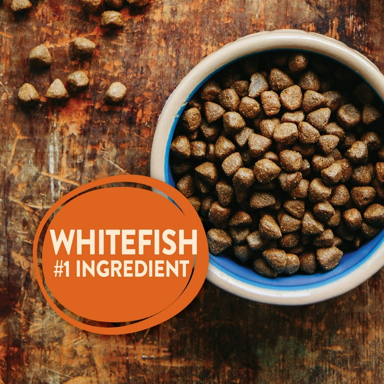Wellness ocean top dog food