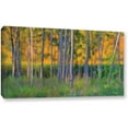 thumbnail image 1 of Antonio Raggio 'Stumpy Basin' Gallery-Wrapped Canvas, 1 of 3
