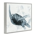 thumbnail image 3 of Stupell Industries Weathered Turtle Blue Portrait Gray Framed Giclee Art design by Marcus Prime, 11 x 14, 3 of 8
