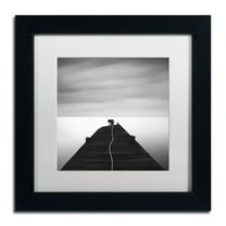 Trademark Fine Art "Free" Canvas Art by Moises Levy White Matte, Black Frame