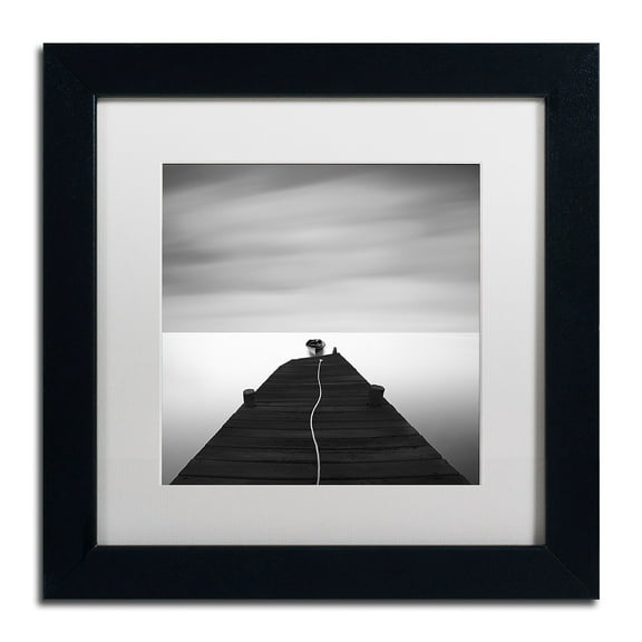 Trademark Fine Art "Free" Canvas Art by Moises Levy White Matte, Black Frame