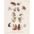 thumbnail image 3 of Babbitt, Gwendolyn 19x24 Black Modern Framed Museum Art Print Titled - Fishing Flies II, 3 of 5