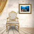 thumbnail image 3 of Gabriel, Barathieu 14x11 Gold Ornate Wood Framed with Double Matting Museum Art Print Titled - Manta Reef On The Reef, 3 of 4