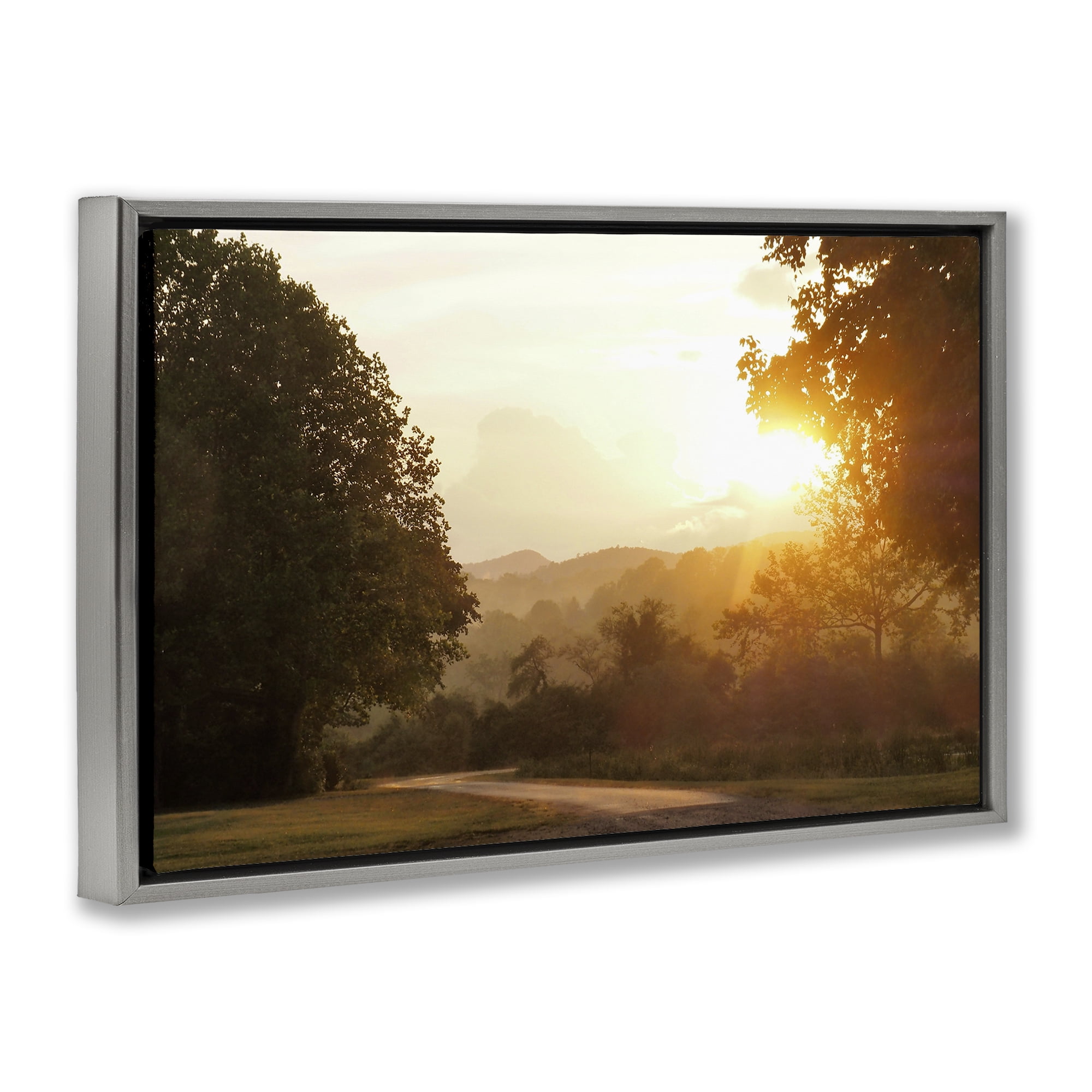 Stupell Industries Golden Morning Between Trees Gray Framed Floater Canvas Wall Art, design by Gail Peck
