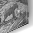 thumbnail image 3 of Epic Art 'Kingandi' by Dariusz Klimczak, Acrylic Glass Wall Art, 24"x24", 3 of 3