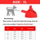 thumbnail image 2 of Toallas de baño para perros para secar perros: toalla absorbente de primera calidad para el cuidado de perros, toalla de secado rápido para mascotas para viajes de baño y playa, 2 of 7