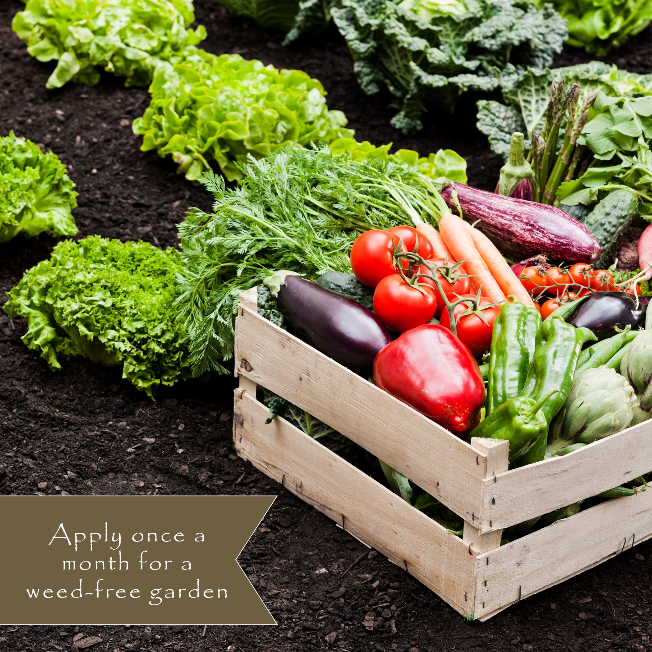 Preen Natural Vegetable Garden Weed Preventer - 5 lb. - Covers 250 sq. ft.